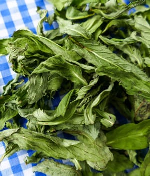 dried mint on a cloth,drying mint,preparing dried mint,close-up,