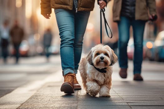 Pet care. dog walking with unrecognizable owner in city street crosswalk, AI Generated