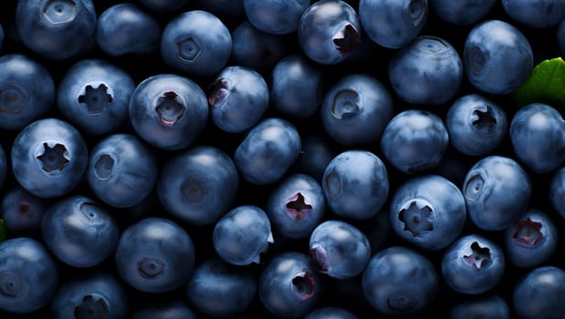 Blueberry background. Blue, juicy blueberries, fruit. High quality illustration