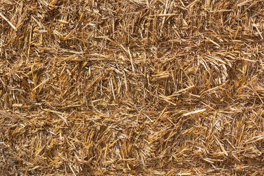 Hay in the bale, background or texture