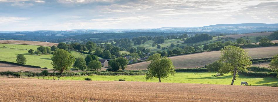 burgundy countryside landscape of french morvan with green grassy fields and forests under blue sky with clouds