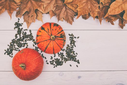 Pumpkins and pumpkin seed on wooden table and autumn leaves.Image is intentionally toned.