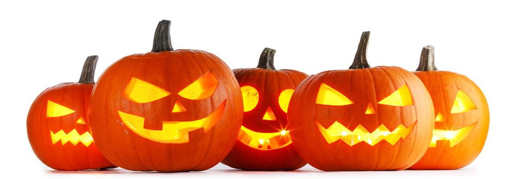 Five Halloween Pumpkins in a row isolated on white background