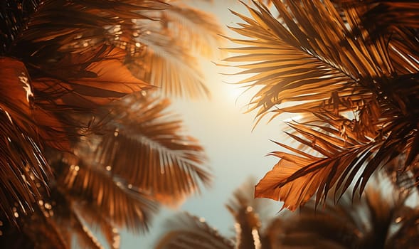 Palm leaves oin the sky with sepia tones.Palm tree with coconut, retro style photo. Summer travel destination. Fluffy palm leaf on sunset sky. Romantic honeymoon or holiday banner template. Coco palm crown view from ground. Tropical nature copy space space for text