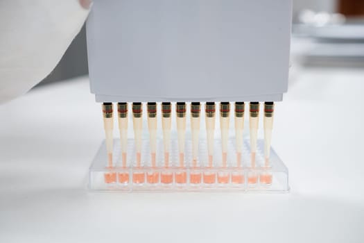 A multichannel pipette dispenser is utilized by scientist to load microplates for DNA or blood test, May 2023, San Francisco, USA.