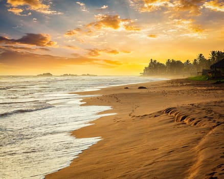 Tropical sunset on ocean beach. Sri Lanka