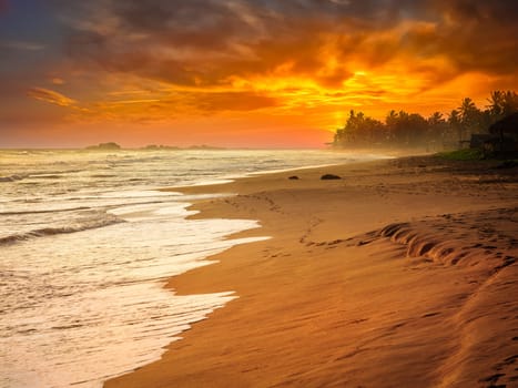 Tropical sunset on ocean beach. Sri Lanka