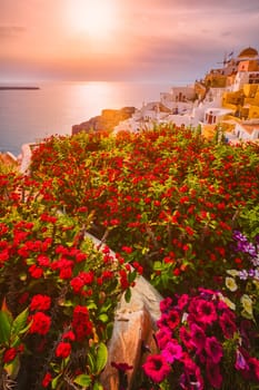 Scenic sunset over sea and picturesque Oia town on Santorini island in summer with red flowers on foreground