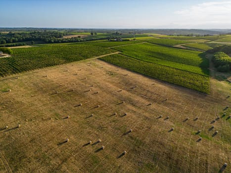 Aerial view Bordeaux Vineyard and forage fields with bales of hay in summer at sunrise, film by drone in summer, Entre deux mers, High quality photo