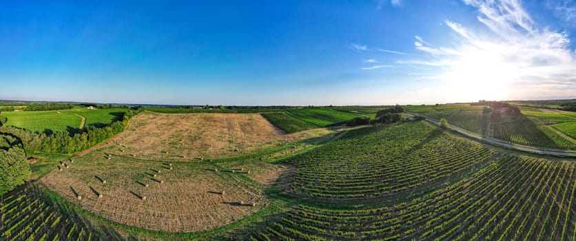 Aerial view Bordeaux Vineyard and forage fields with bales of hay in summer at sunrise, film by drone in summer, Entre deux mers, High quality photo