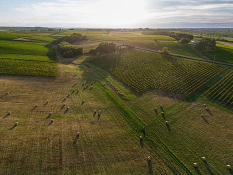 Aerial view Bordeaux Vineyard and forage fields with bales of hay in summer at sunrise, film by drone in summer, Entre deux mers, High quality photo