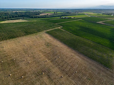 Aerial view Bordeaux Vineyard and forage fields with bales of hay in summer at sunrise, film by drone in summer, Entre deux mers, High quality photo