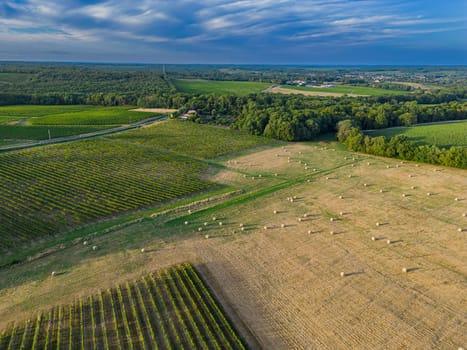 Aerial view Bordeaux Vineyard and forage fields with bales of hay in summer at sunrise, film by drone in summer, Entre deux mers, High quality photo