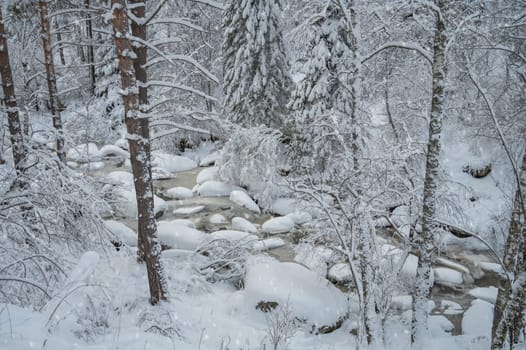 Winter landscape with fair trees under the snow.