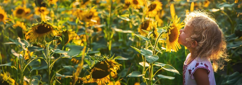 A child in a field of sunflowers Ukraine. Selective focus. Nature.