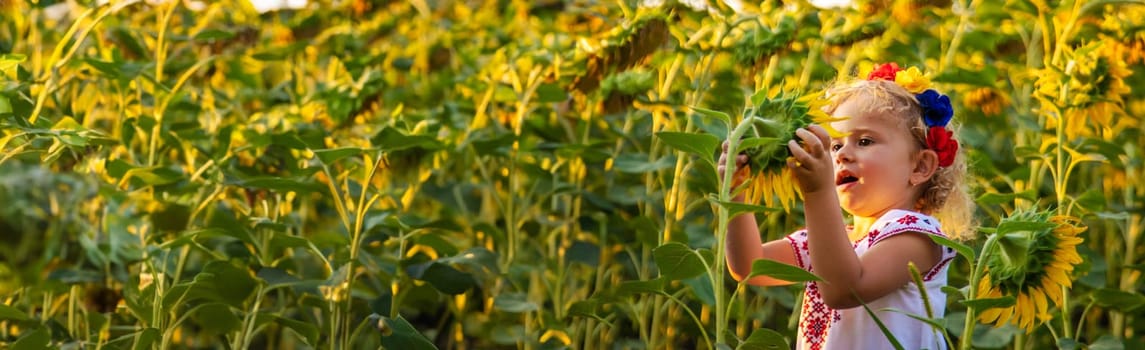 A child in a field of sunflowers Ukraine. Selective focus. Nature.