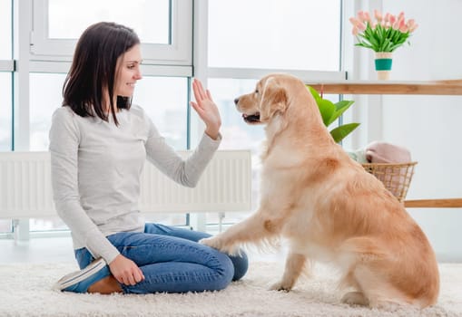 Golden retriever dog giving paw to young girl sitting on floor in light room