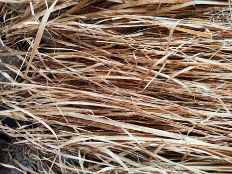 Dry grass, hay, straw laid in rows. Thatched wall background and texture. Tropical roofing on beach. Abstract pattern, frame, copy space and place for text