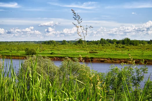 Beautiful landscape and nature with view of the river and the sky with clouds through trees from high place. Green trees in foreground, water and greenery in background. Background and copy space