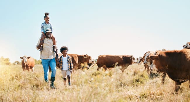 Cattle farm, father and children or family outdoor for travel, sustainability and holiday. Black man and kids walking on a field for farmer adventure in countryside with cows and banner in Africa.