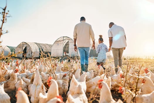 Holding hands, gay couple and chicken with black family on farm for agriculture, environment and bonding. Relax, lgbtq and love with men and child farmer on countryside field for eggs and animals.