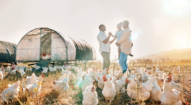 Happy, gay couple and chicken with black family on farm for agriculture, environment and bonding. Relax, lgbtq and love with men and child farmer on countryside field for eggs, care and animals.