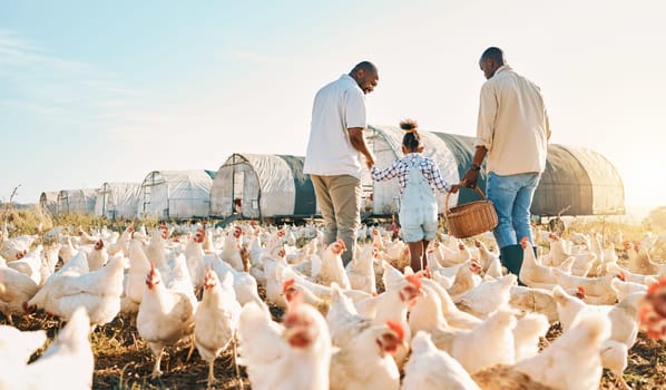 Happy, gay couple and holding hands with black family on chicken farm for agriculture, environment and bonding. Relax, lgbtq and love with men and child on countryside field for eggs, care or animals.