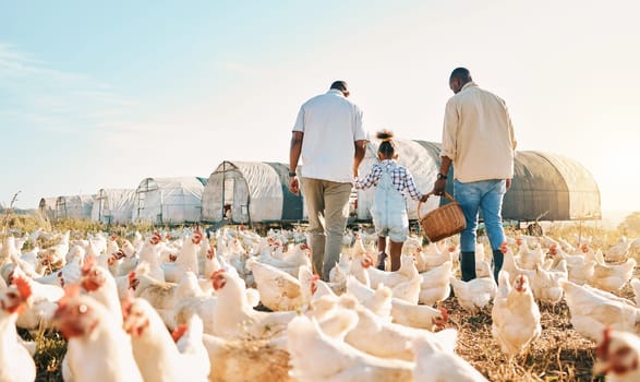Happy, holding hands and chicken with black family on farm for agriculture, environment and bonding. Relax, lgbtq and love with men and child farmer on countryside field for eggs, care and animals.