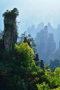 Famous tourist attraction of China - Zhangjiajie stone pillars cliff mountains on sunset at Wulingyuan, Hunan, China