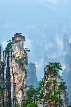 Famous tourist attraction of China - Zhangjiajie stone pillars cliff mountains in fog clouds at Wulingyuan, Hunan, China