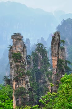 Famous tourist attraction of China - Zhangjiajie stone pillars cliff mountains in fog clouds at Wulingyuan, Hunan, China. With camera pan