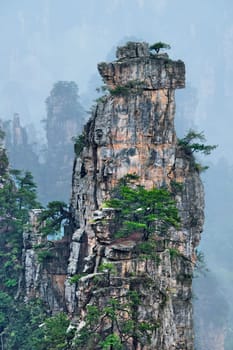 Famous tourist attraction of China - Zhangjiajie stone pillars cliff mountains in fog clouds at Wulingyuan, Hunan, China. With camera pan