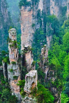 Famous tourist attraction of China - Zhangjiajie stone pillars cliff mountains in fog clouds at Wulingyuan, Hunan, China