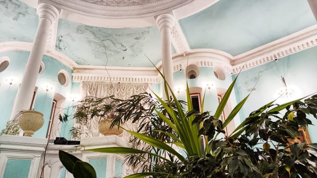 beautiful hall with plants under the sunlight. Winter garden with greenery and home flowers in a room with stairs, columns and glass dome