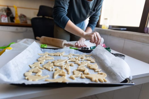A woman lays out the dough in the shape of dinosaurs on a baking sheet. Mid shot