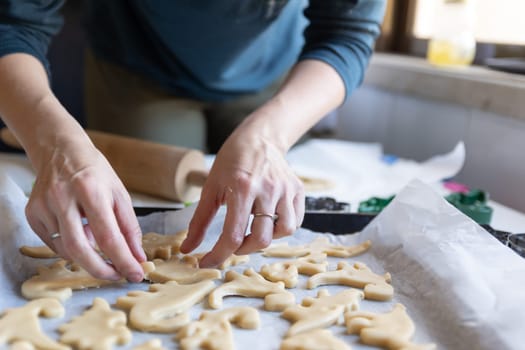 Baking cookies - a woman lays out the dough in the shape of dinosaurs on a baking sheet. Mid shot