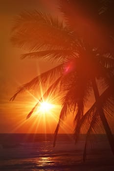 Beach resort vacation holidays background - tropical ocean sunset scene with palms. Copyspace