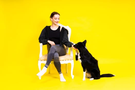 Puppy learning to obey. Dog training owner giving prize to dog. Isolated background, border collie