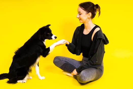 Puppy learning to obey. Dog training owner giving prize to dog. Isolated background, border collie