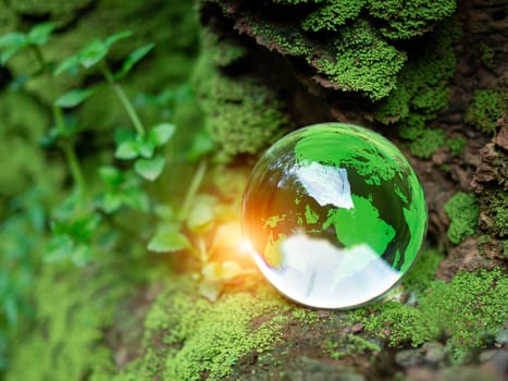 Crystal ball on moss in green forest. Environment concept Ecology and Sustainable Environment of the World. Earth day concept.