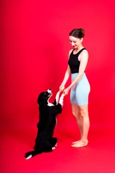 Puppy learning to obey. Dog training owner giving prize to dog. Isolated background, border collie