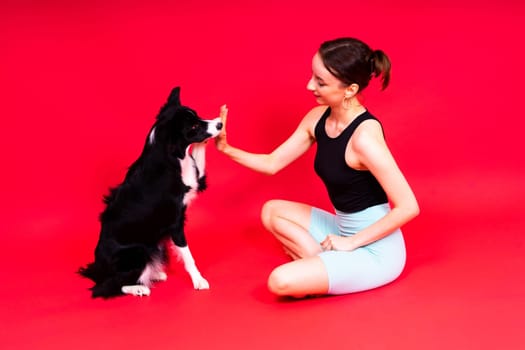 Puppy learning to obey. Dog training owner giving prize to dog. Isolated background, border collie