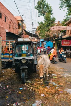 Jodhpur, India - November 14, 2019: Indian street with auto rickshaw, motorcycles, cow and trash on ground. Motorcycle and auto rickshaw are very common transportation options in India.