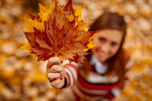 Cute young woman enjoying in sunny forest in autumn colors. She is holding golden yellow fallen leaves. Looking at camera.