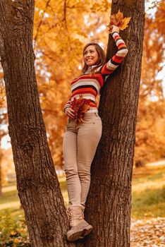 Cute young woman enjoying in sunny forest in autumn colors. She is holding golden leaves and standing on tree. 