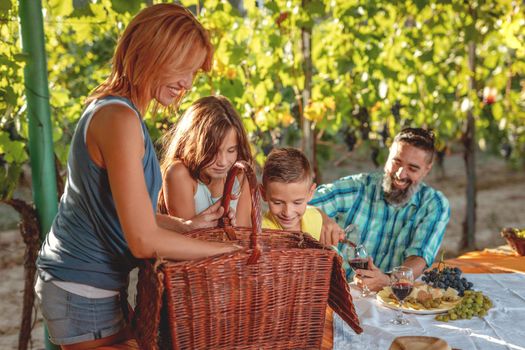 Beautiful young smiling family of four having picnic at a vineyard.