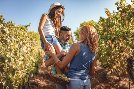 Beautiful young smiling family of four having fun at a vineyard.