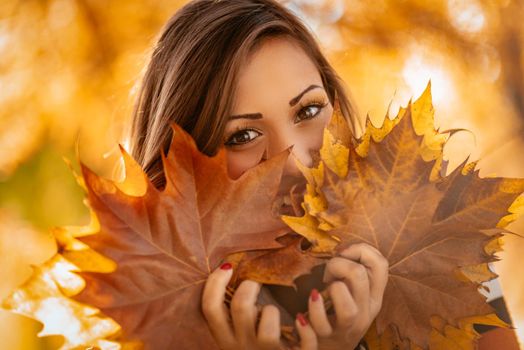 Cute young woman enjoying in sunny forest in autumn colors. She is holding many fallen leaves and looking at camera behind them.