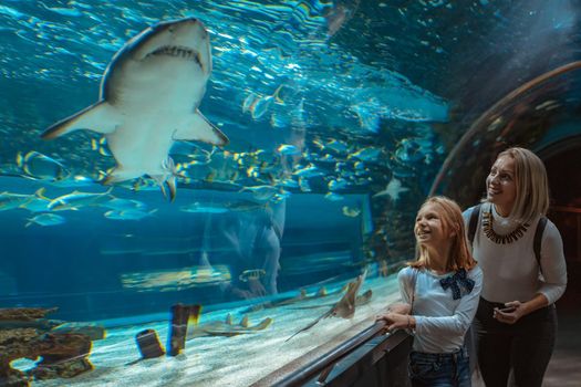 Mother and daughter standing outstretched against aquarium glass looking at the fishes, fascinated by the shark.