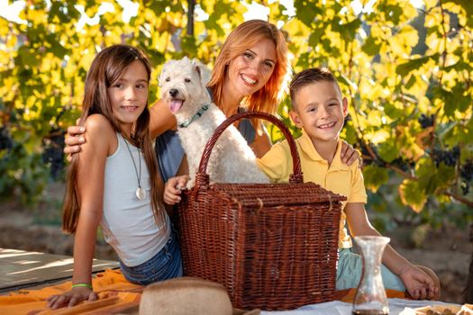 Beautiful young smiling mother with her children and their dog having picnic at a vineyard.